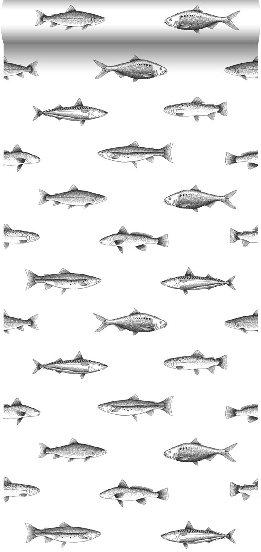 Fiyero Off White Fish Wallpaper with Hand-Drawn Coastal Fish Motif - ESTA Home DD138967