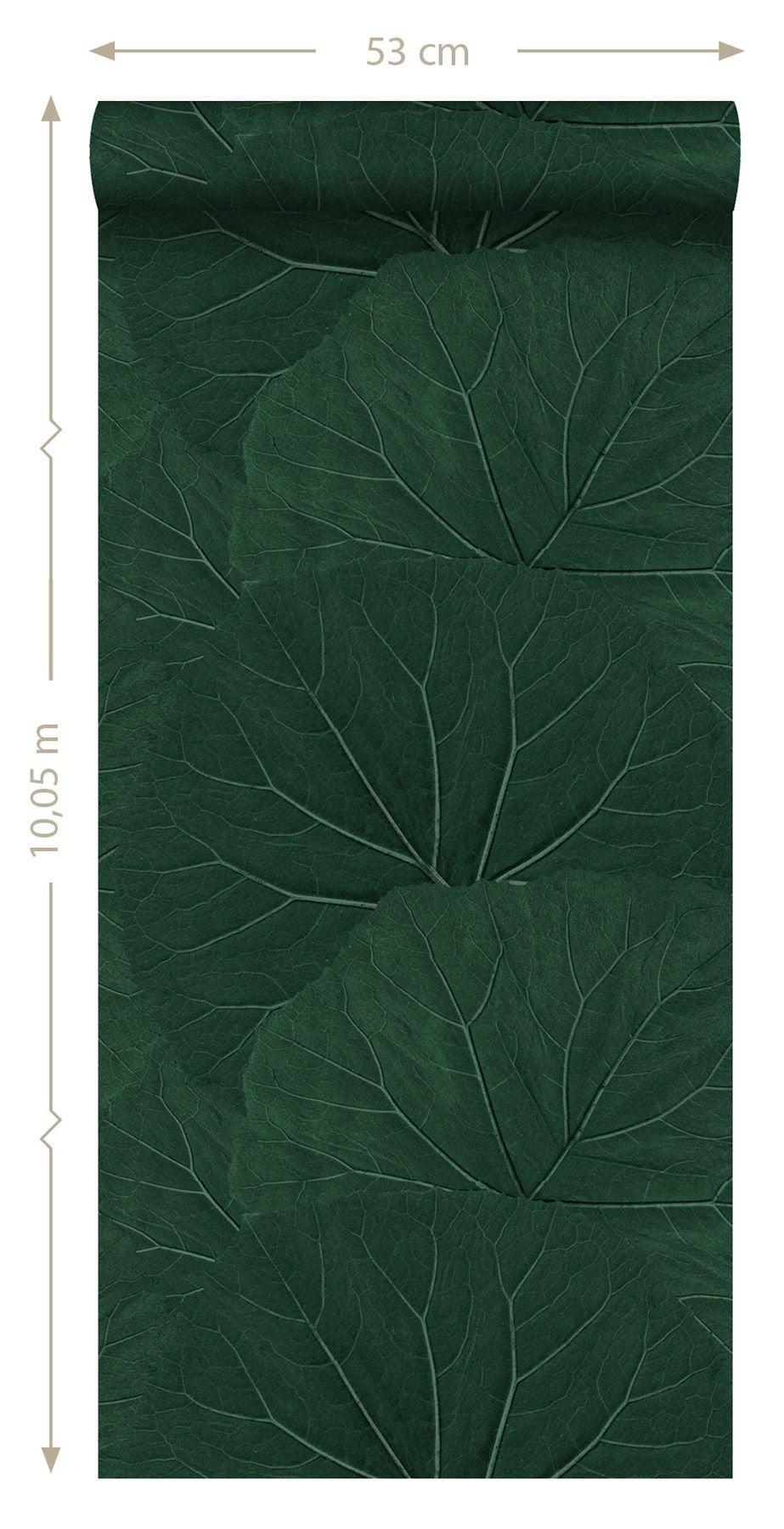 Xylem Evergreen Large Leaves Wallpaper with Botanical Non Woven Eclectic Style - Brewster DD138997