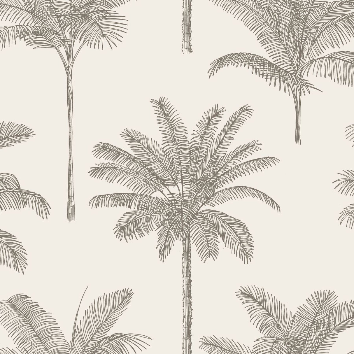 Taj Beige Palm Trees Wallpaper with Bohemian Botanical Trees Pattern - ESTA Home DD139163