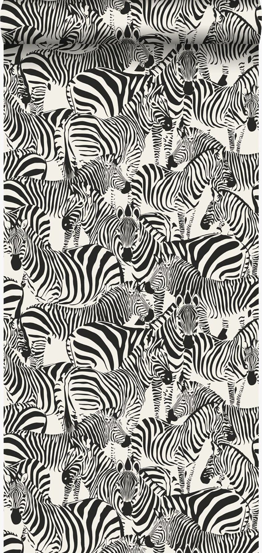 Jemima Black Zebra Wallpaper with Glam Animal Print in Non Woven Unpasted - Origin DD347453