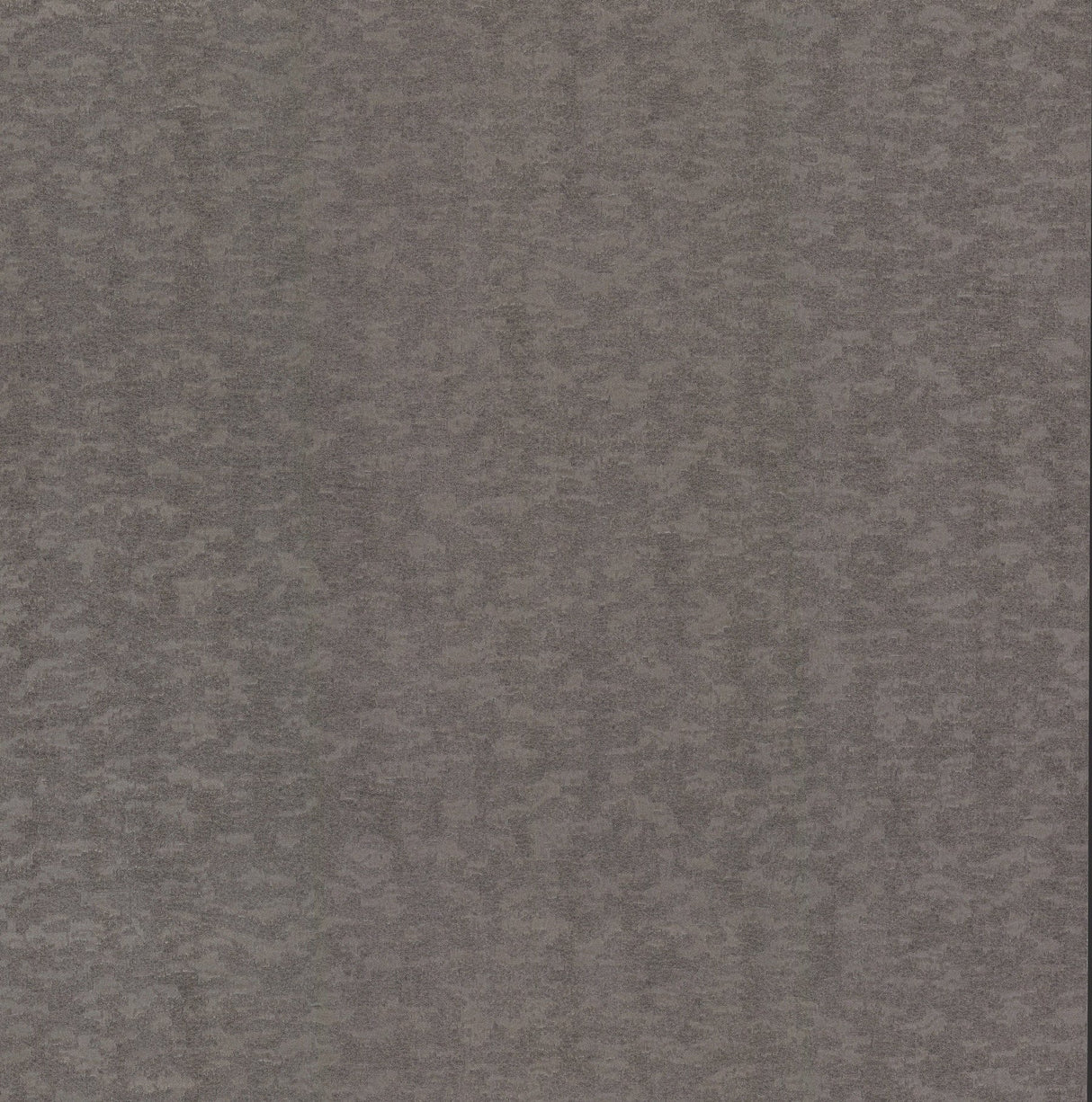 Weathered Cypress Silver Wallpaper with Textured Bark Motif - York DD3751