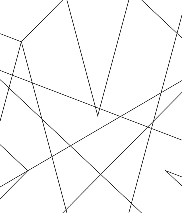 Spider-Man Fracture Black Wallpaper with Abstract Web Line Pattern - York DI0942