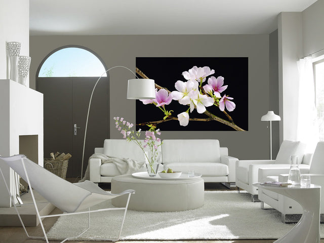 Cherry Blossoms Black Background Floral Scenic Wall Mural - Wizard & Genius WG627