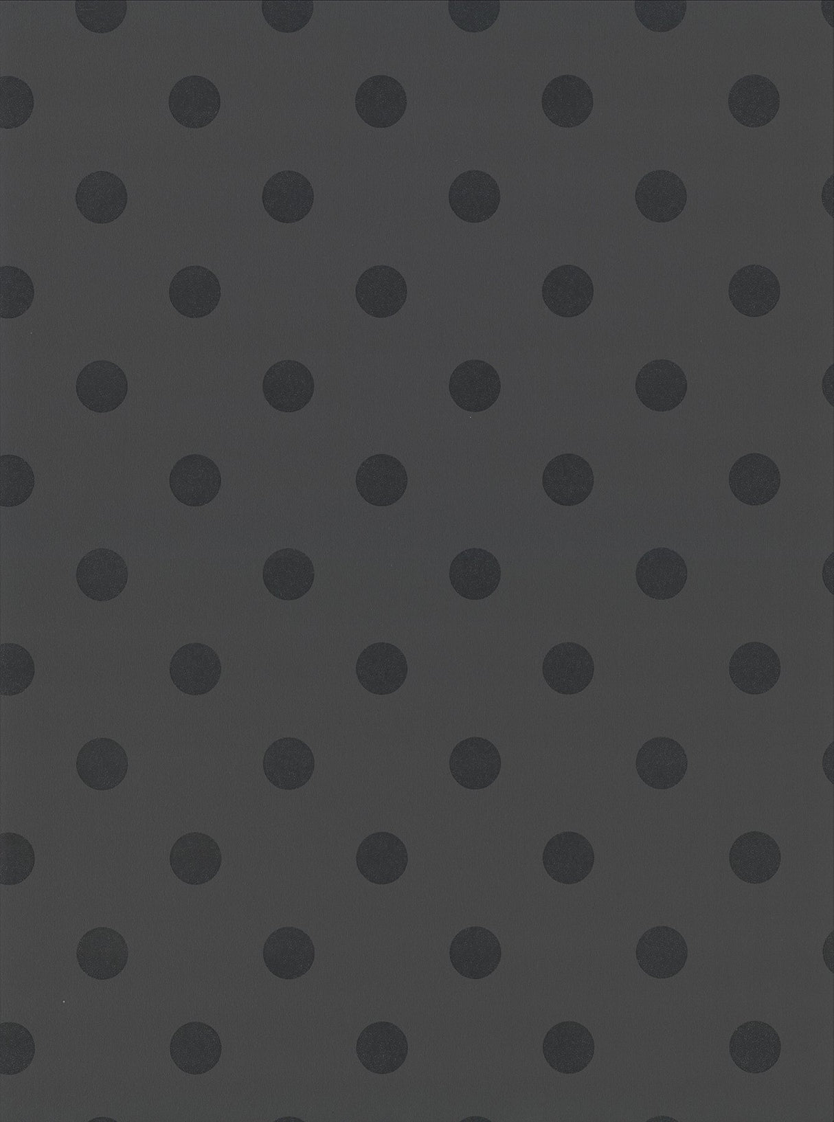 Debra Grey Matte Polka Dot Wallpaper with Modern Geometric Pattern - Lucky Day EJ397631