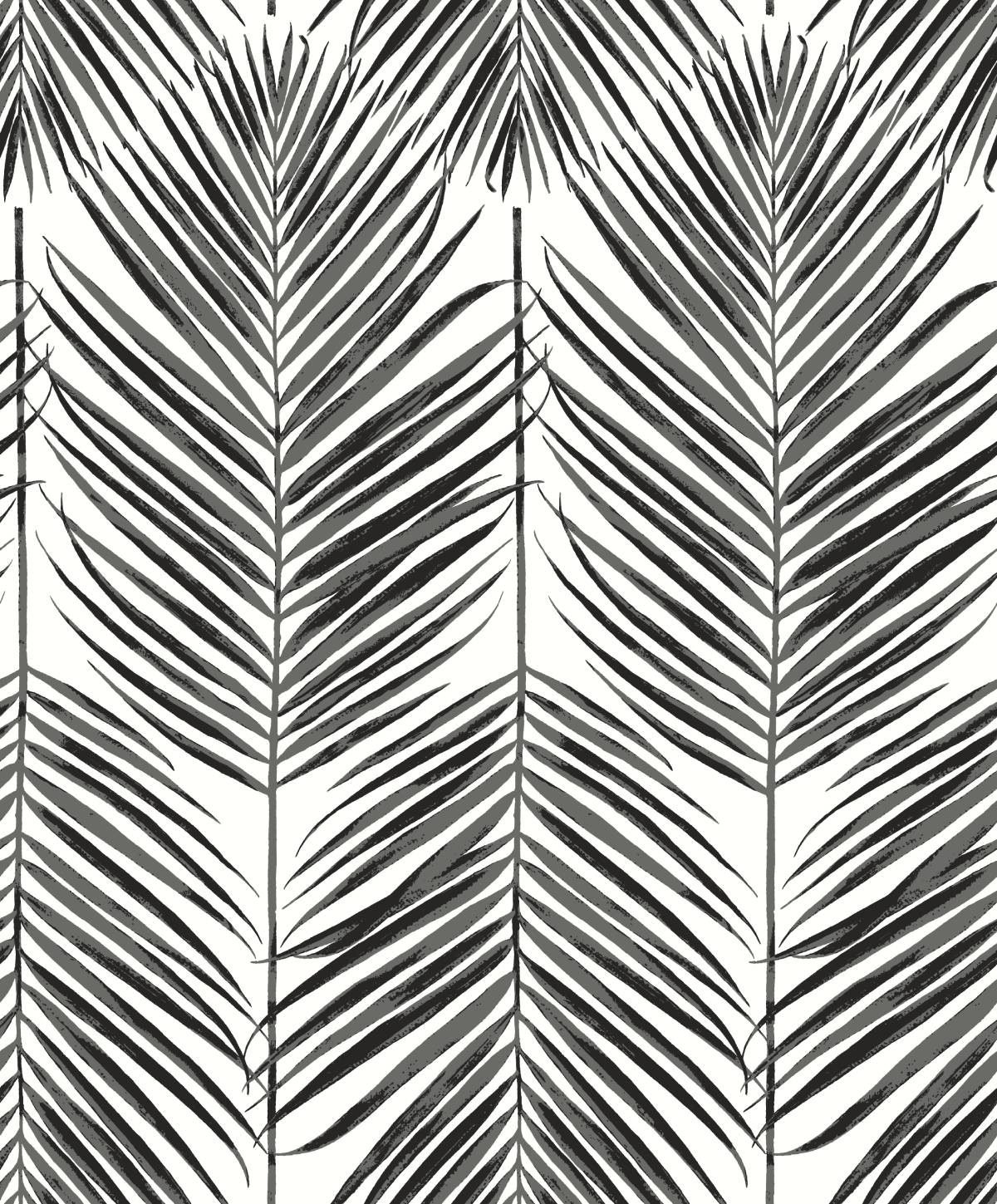 Marina Palm wallpaper in ebony with palm frond botanical pattern