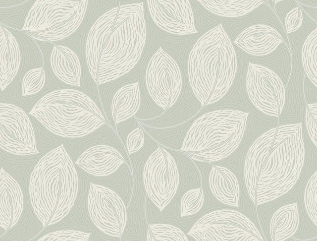 Contoured Leaves Green Wallpaper with Sculptured Finishes Pattern - York EV3921