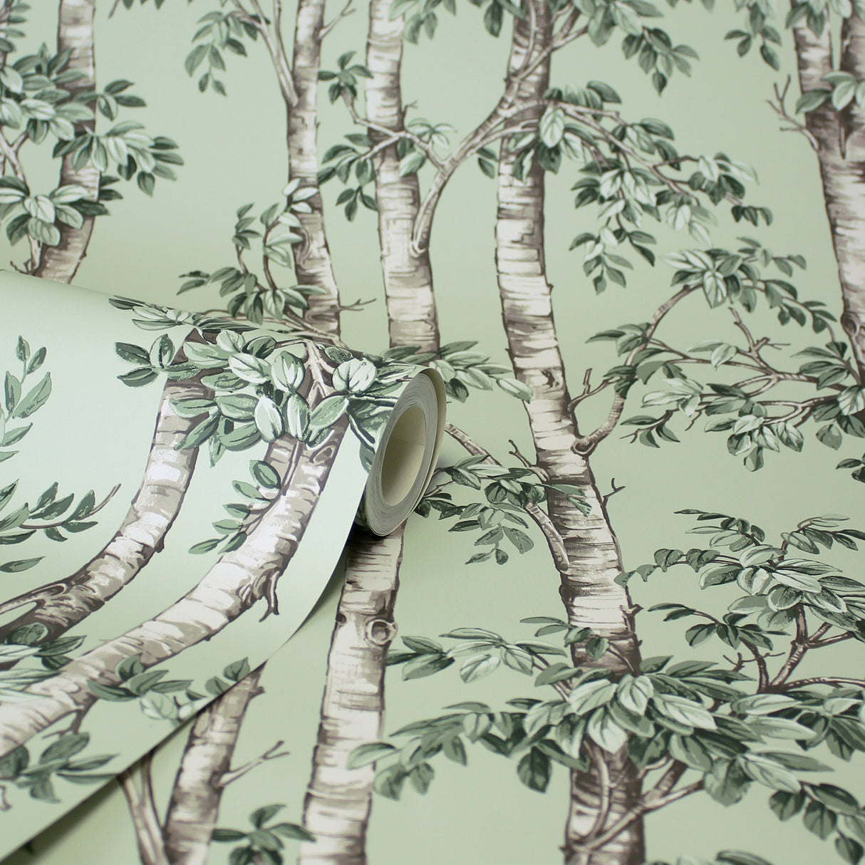 Bastian Green by Fine Decor Trees Wallpaper – Brewster Home Fashions FD43341