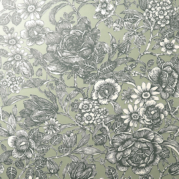 Hedgerow Green floral trails wallpaper with charcoal botanical illustration on soft green background.