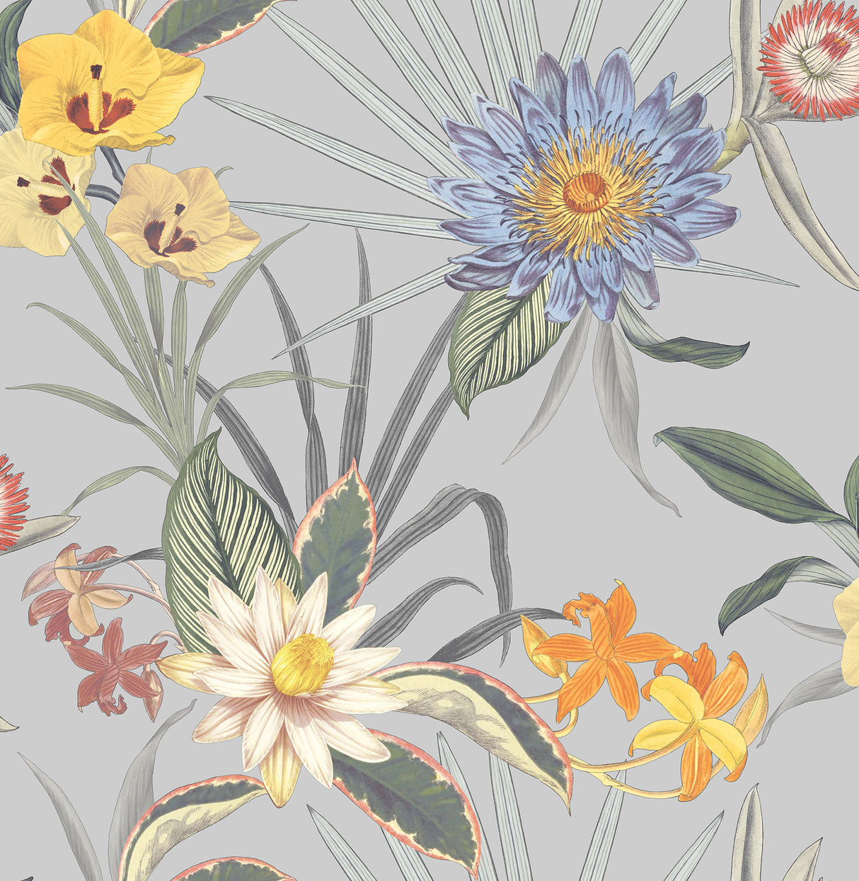Fine Decor Calista Light Blue Tropical Floral Wallpaper, 20.5 in x 33 ft roll