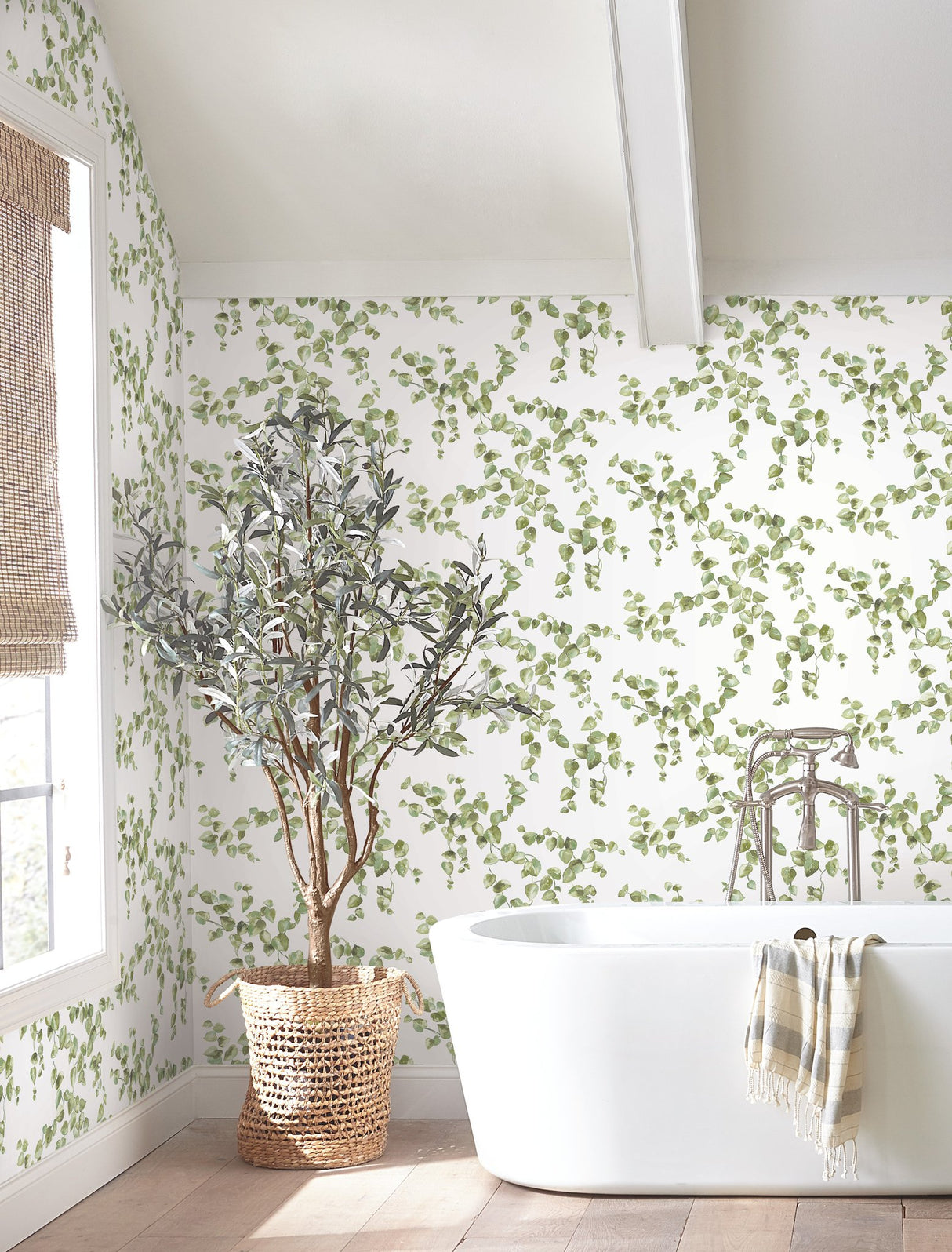 Creeping Fig Vine Green Wallpaper with Botanical Vine Pattern - York FH4036
