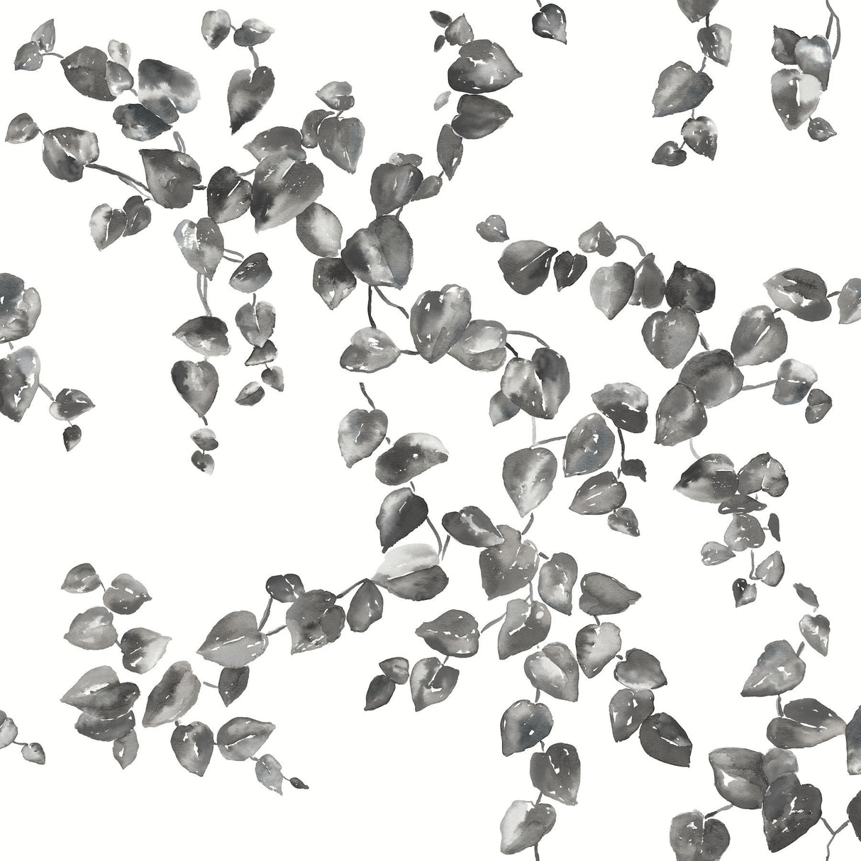 Creeping Fig Vine Black & White Wallpaper with Botanical Ivy/Vines Motif - York FH4038