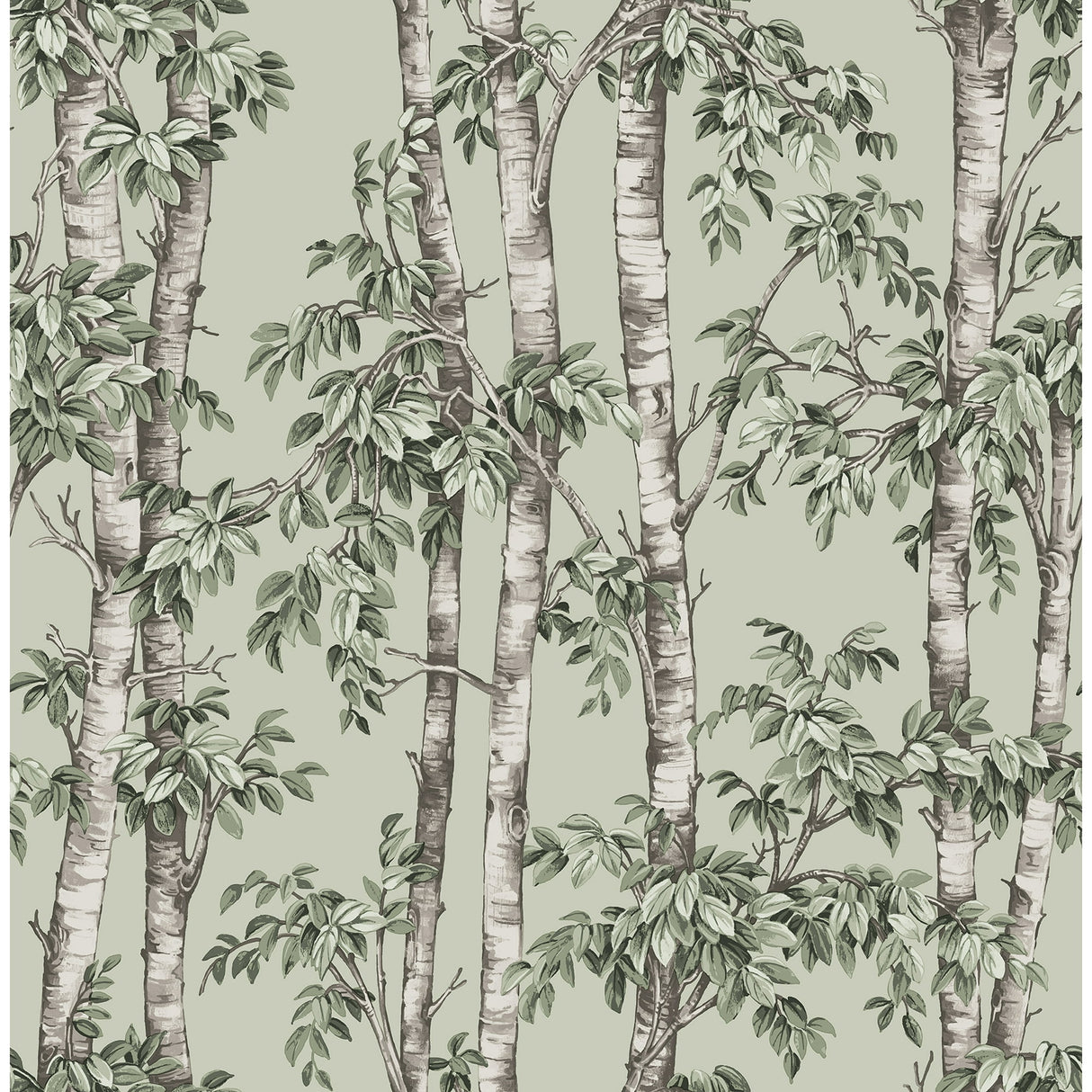 Fine Decor Bastian Green Trees Wallpaper roll and room view