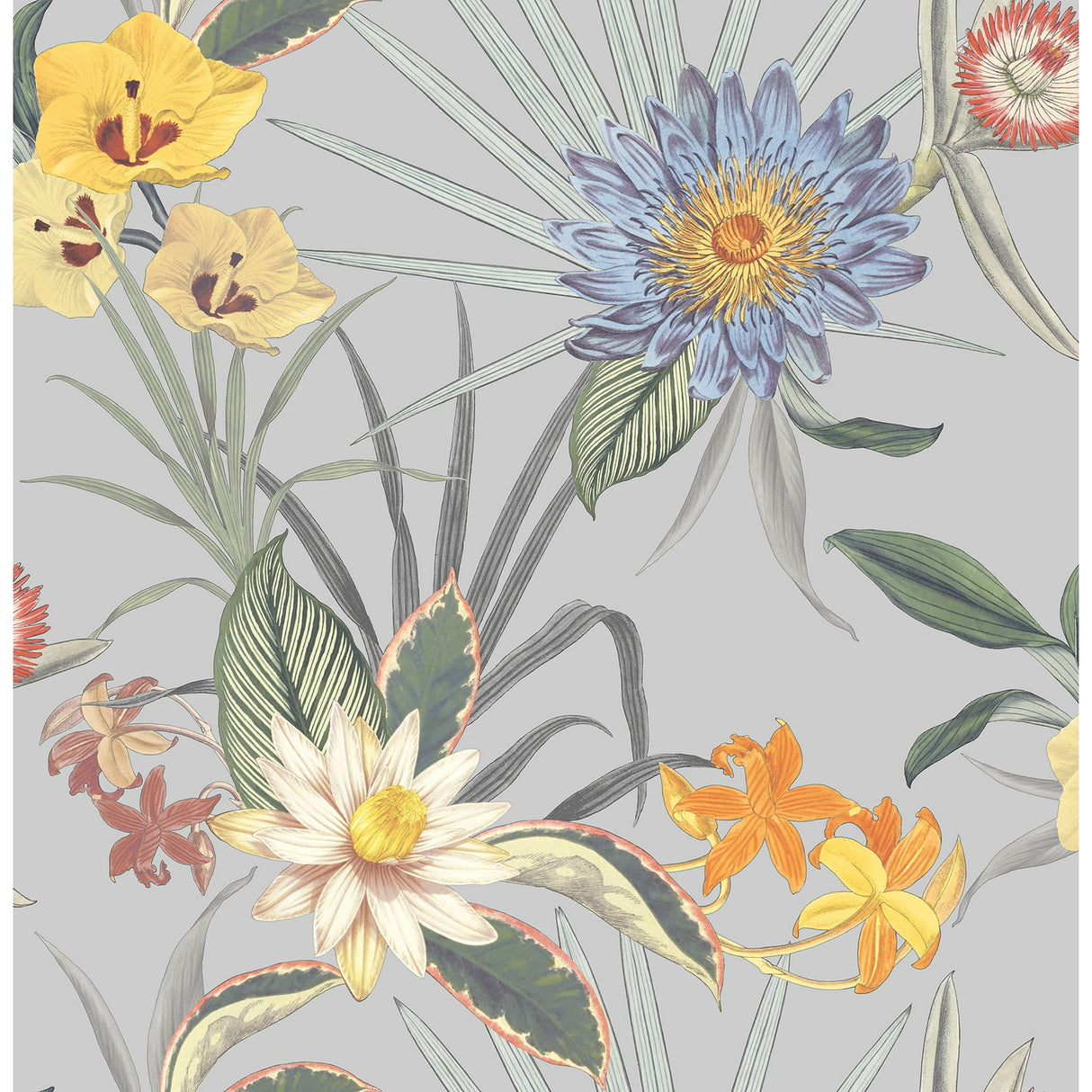 Fine Decor Calista Light Blue Tropical Floral Wallpaper, 20.5 in x 33 ft roll