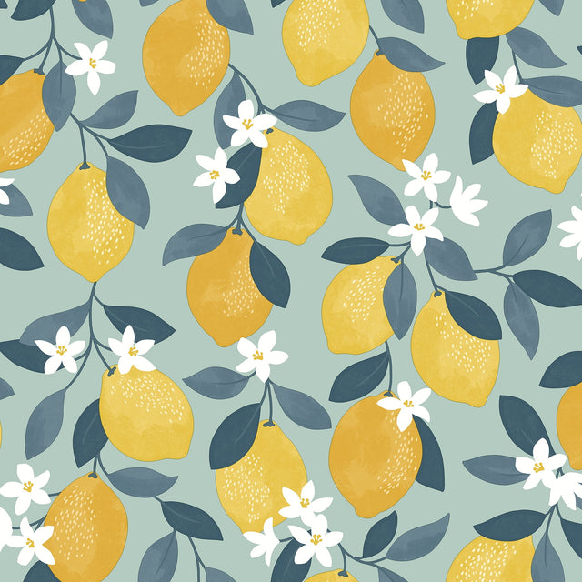 Fine Decor Inigo Seafoam Sicily Fruits Wallpaper FD43837, lemons on seafoam, 20.5 in x 33 ft roll