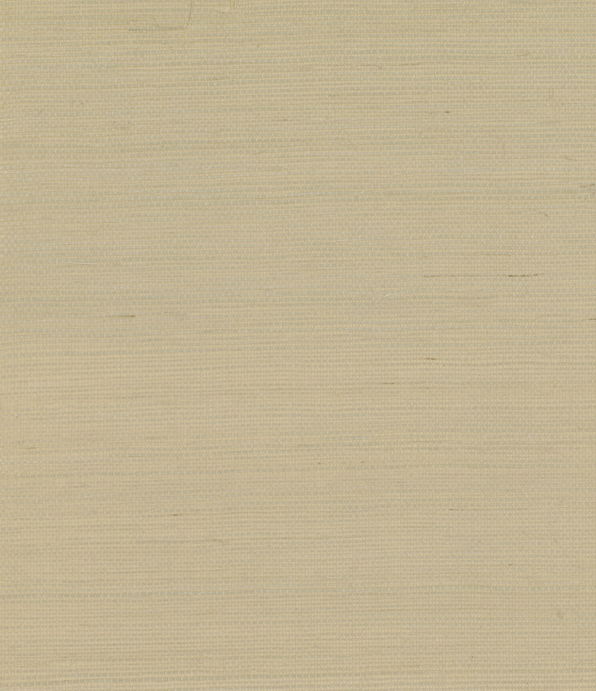 Champagne sisal grasscloth wallpaper texture