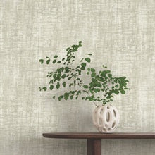 Monteverde Grey by York Wallcoverings Wallpaper – York Wallcoverings GN2554