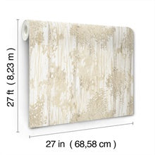 Aspen Grove Sand by York Wallcoverings Botanical Wallpaper – York Wallcoverings GN2604