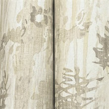 Aspen Grove Sand by York Wallcoverings Botanical Wallpaper – York Wallcoverings GN2604