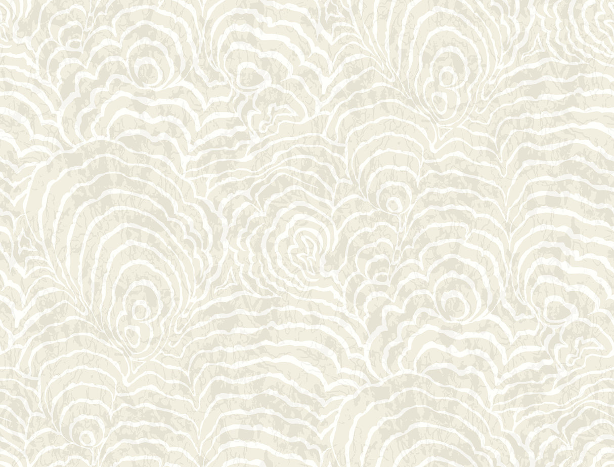 York Wallcoverings Ocean Jasper White wallpaper roll and pattern detail