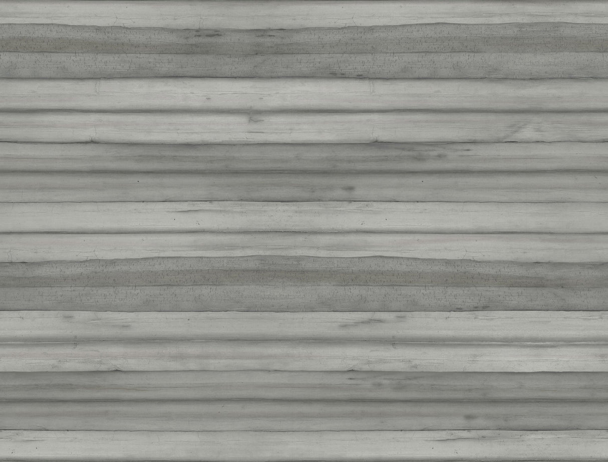 Pandora Leaf Grey Wallpaper with Striped Palm Leaf Motif - York GO8264