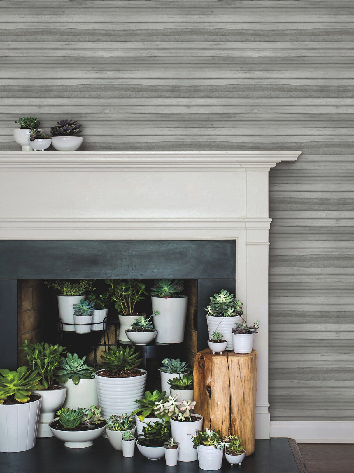 Pandora Leaf Grey Wallpaper with Striped Palm Leaf Motif - York GO8264