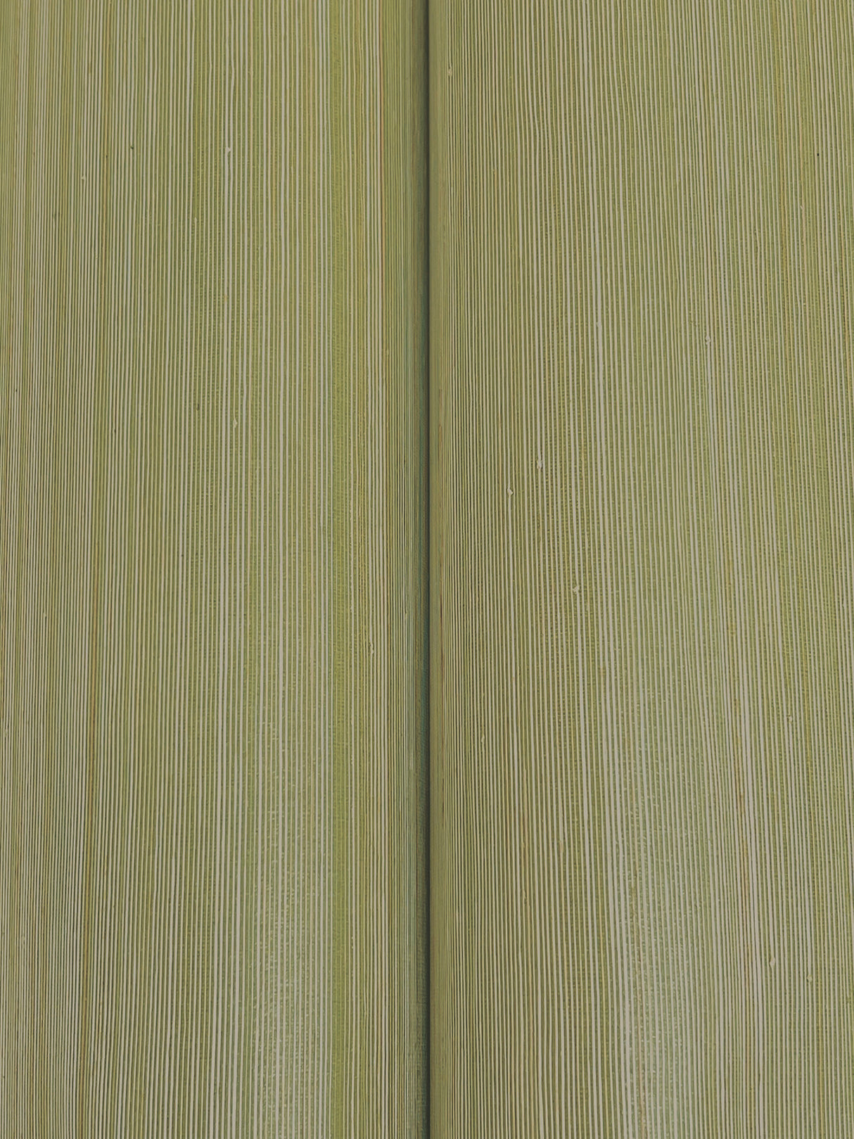 Smooth Abaca Moss by Ronald Redding Grasscloth Wallpaper – York Designer Series GRL88366