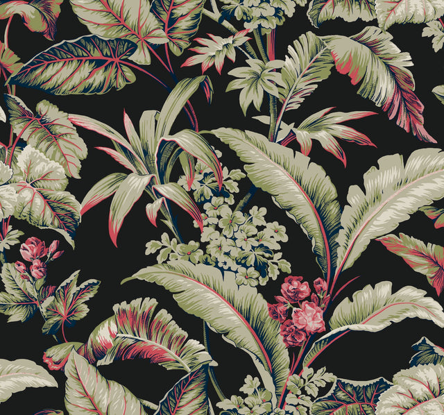 Mystic Isle Black Tropical Eclectic Wallpaper - York GT4504