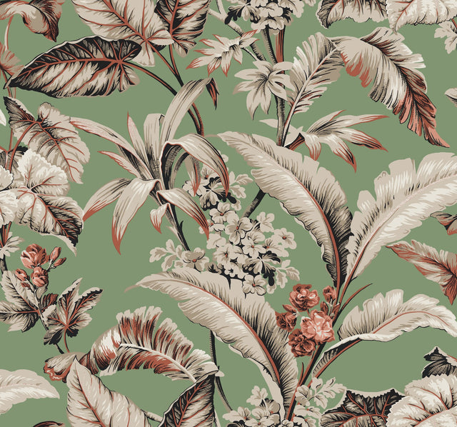 Mystic Isle Green Wallpaper with Tropical Eclectic Leaf and Floral Motif - York GT4505