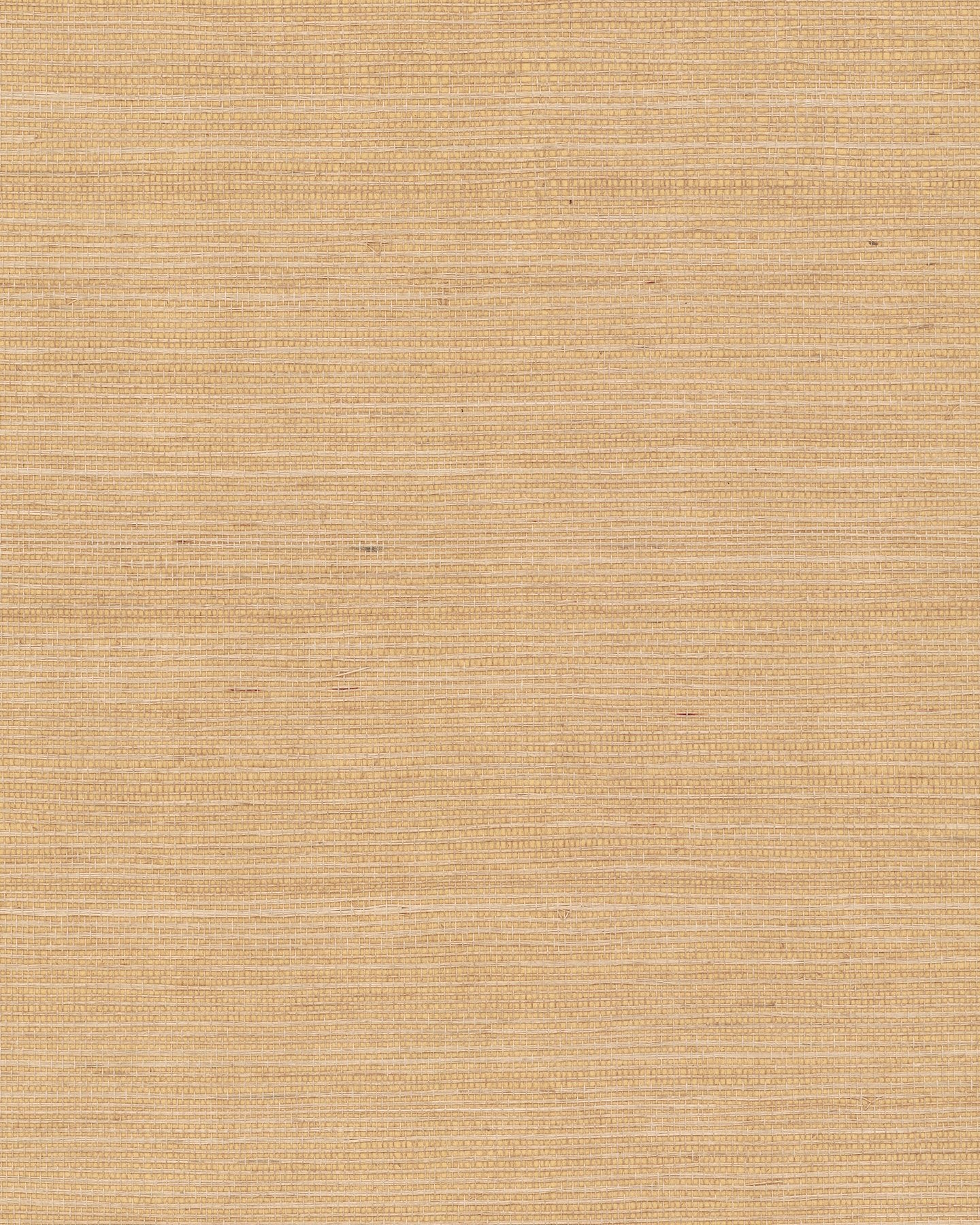 Maguey Sisal Biscotti Grasscloth Wallpaper with Natural Sisal Texture - York GV0103NW