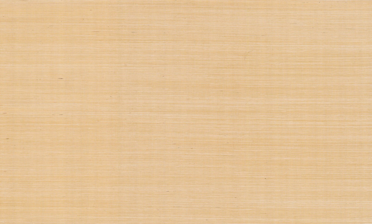 Maguey Sisal Gold Grasscloth Wallpaper Traditional Metallic - York GV0111NWFD