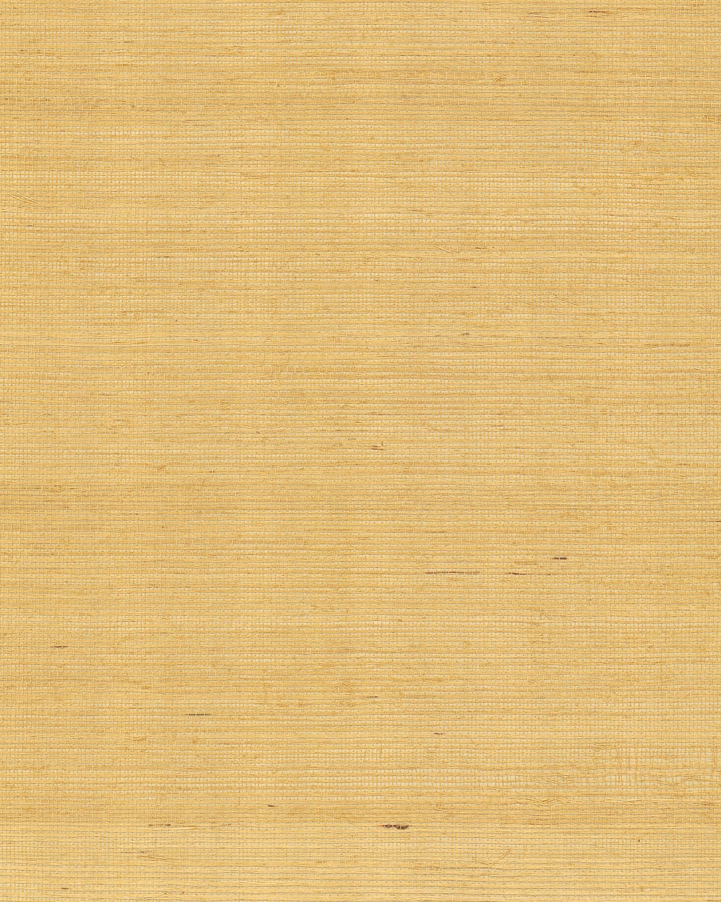 Maguey Sisal Gold Wallpaper with Metallic Sisal Grasscloth Texture - York GV0114NW