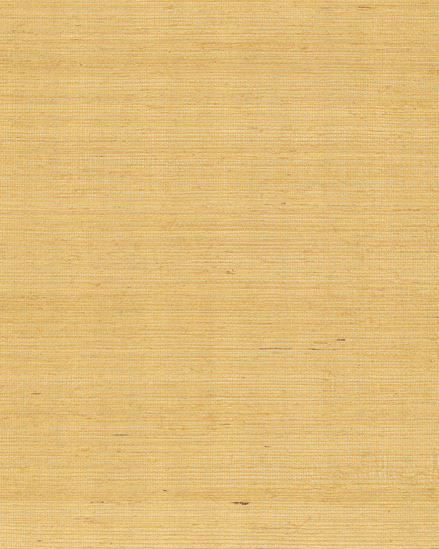 Maguey Sisal Gold Wallpaper with Metallic Sisal Grasscloth Texture - York GV0114NW