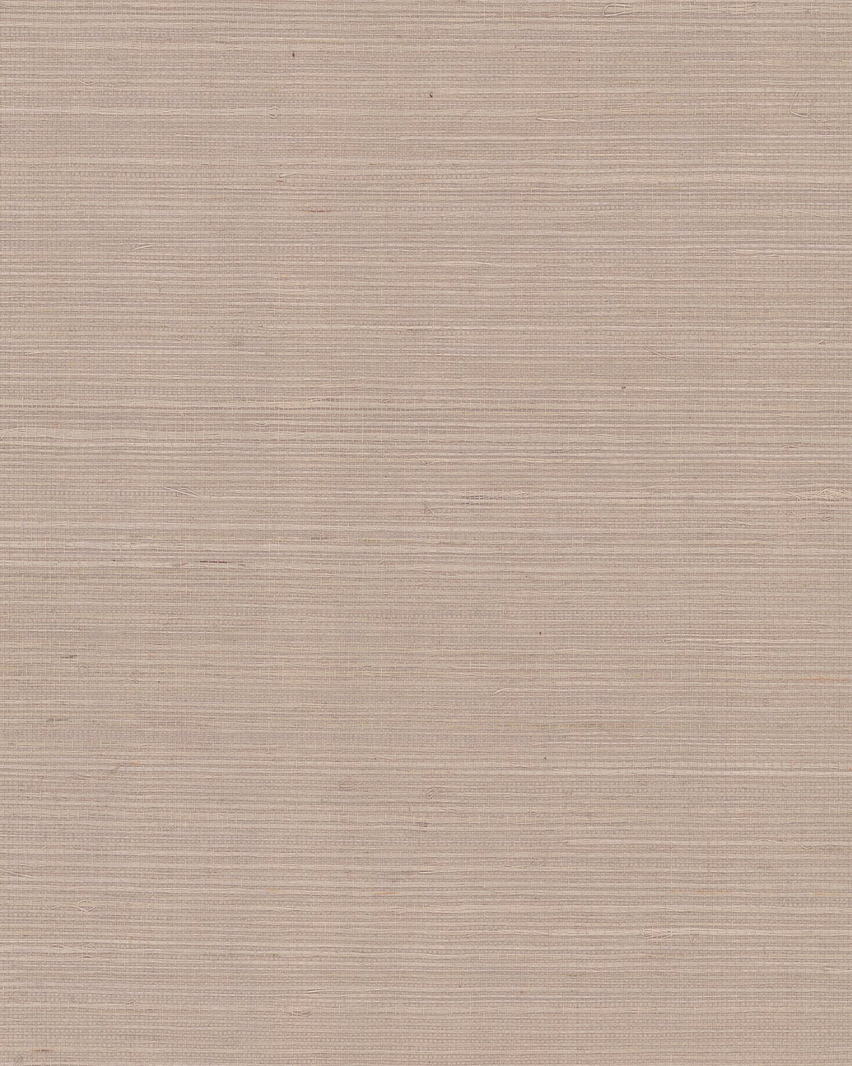 Maguey Sisal Linen Grasscloth Wallpaper in Linen - York GV0119NW