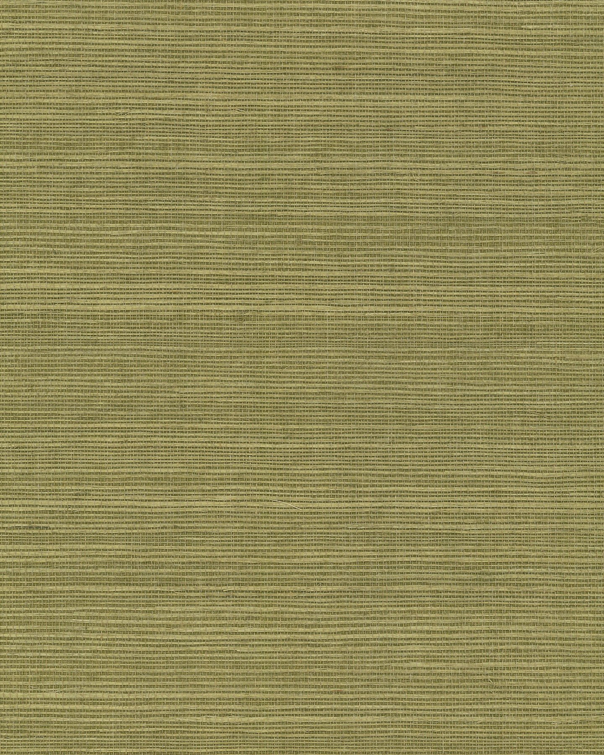 Maguey Sisal Fern Grasscloth Wallpaper with Traditional Natural Texture - York GV0145NW