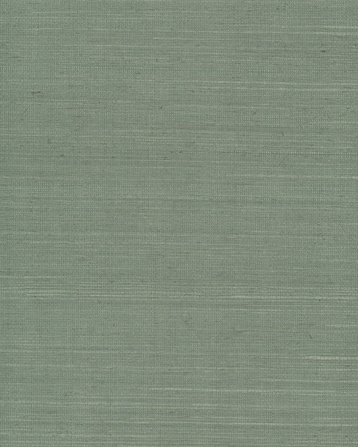 Maguey Sisal Sage Grasscloth Wallpaper, Traditional Style - York GV0146NW