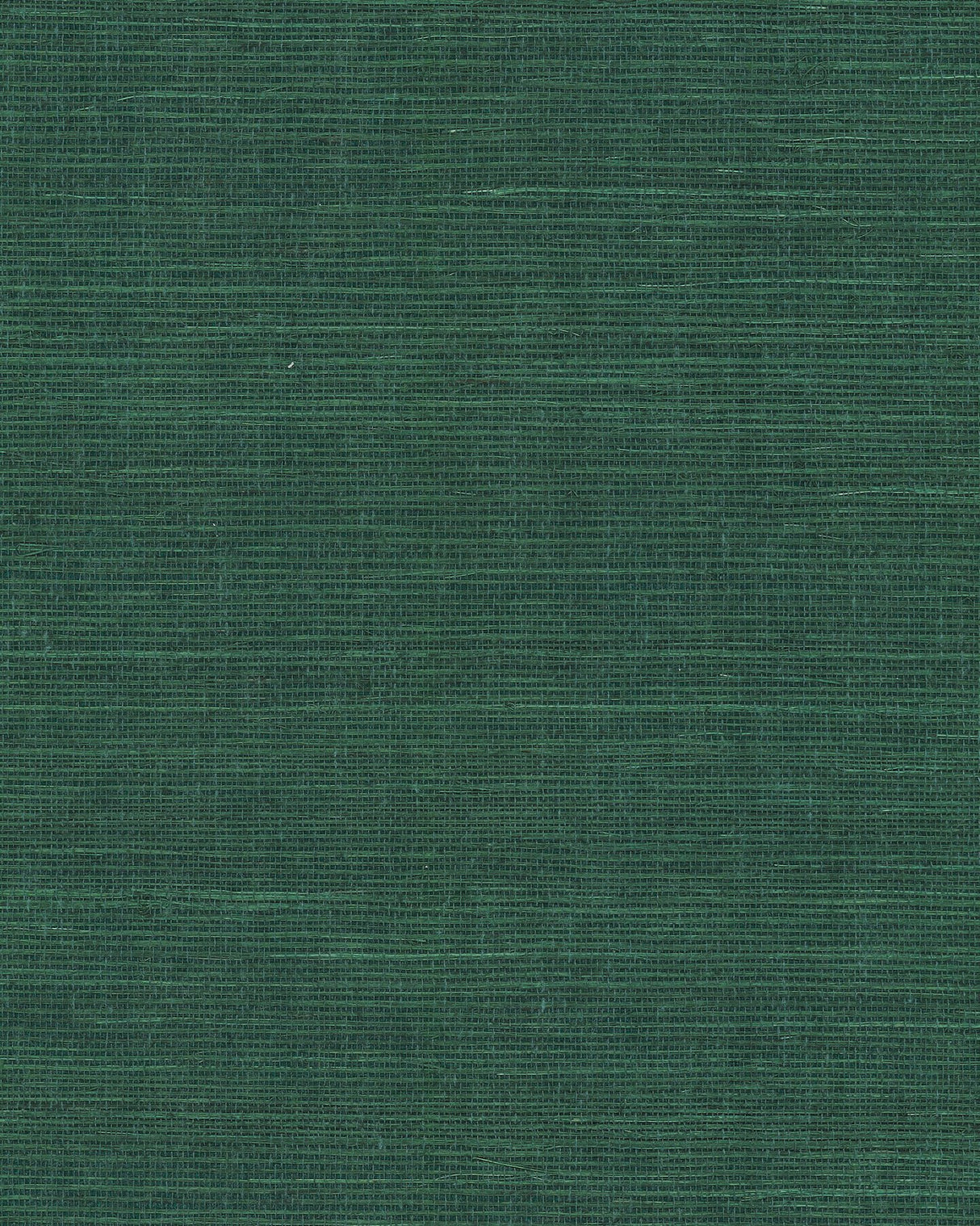 Maguey Sisal Forest Grasscloth Wallpaper - York GV0148NW