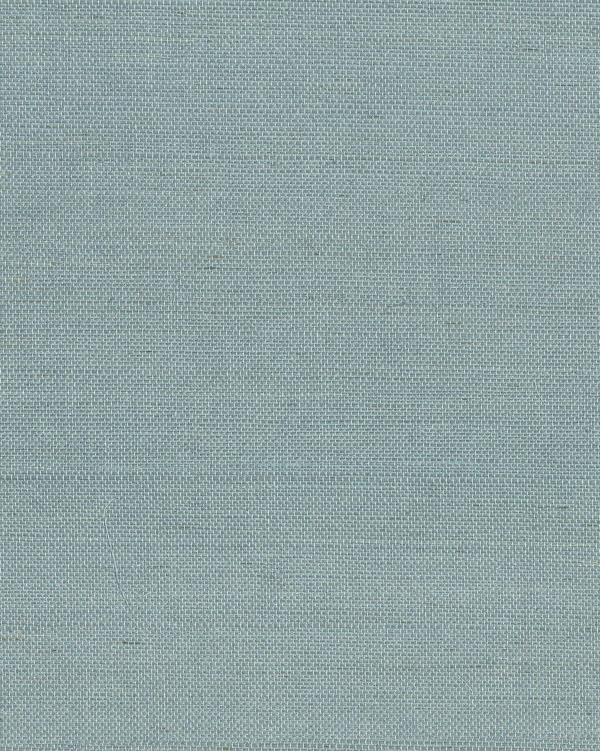 Maguey Sisal Dragonfly Grasscloth Wallpaper, Traditional Style - York GV0153NW