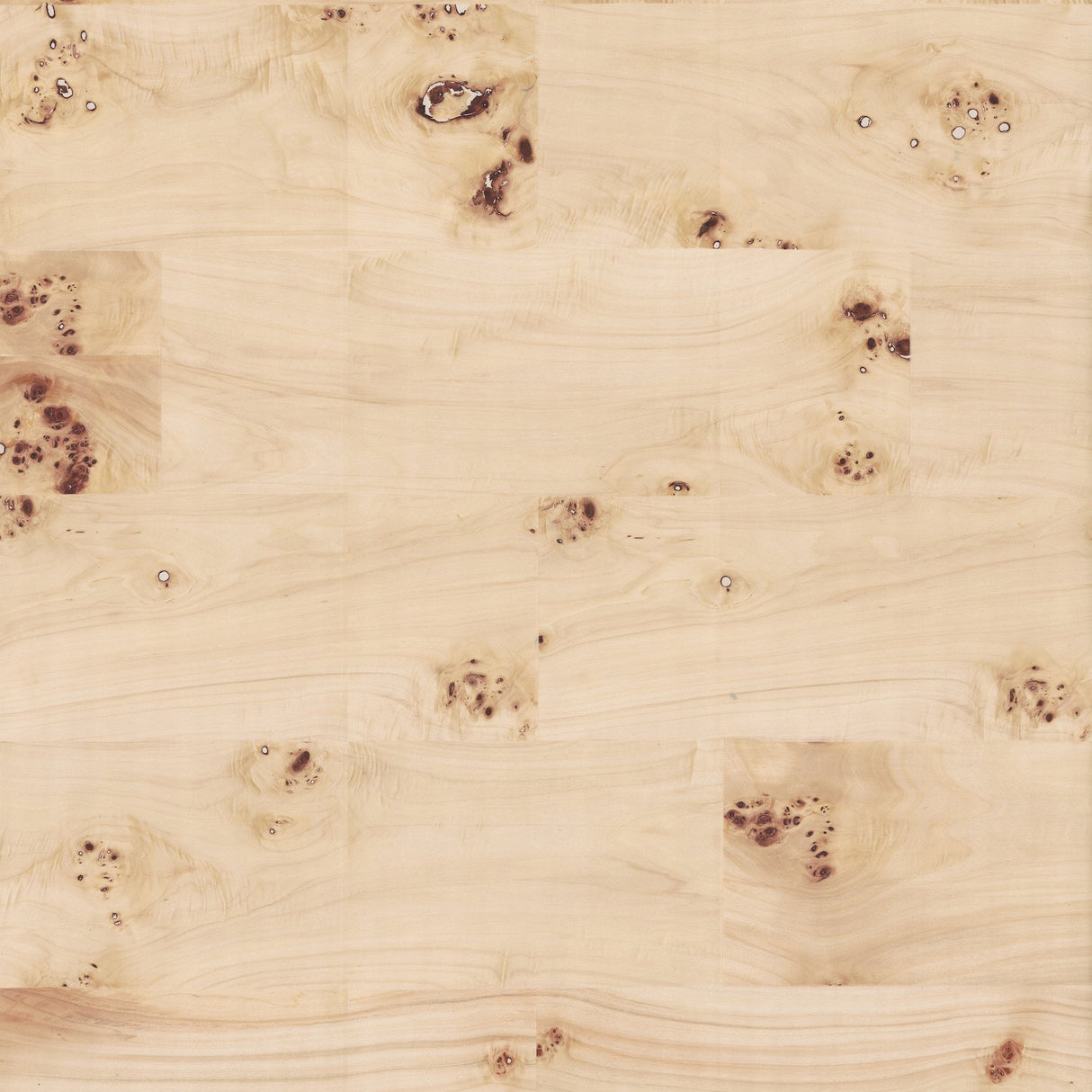 Burlwood Natural Wallpaper with Metallic Wood Veneer Feature Wall - York GV0266