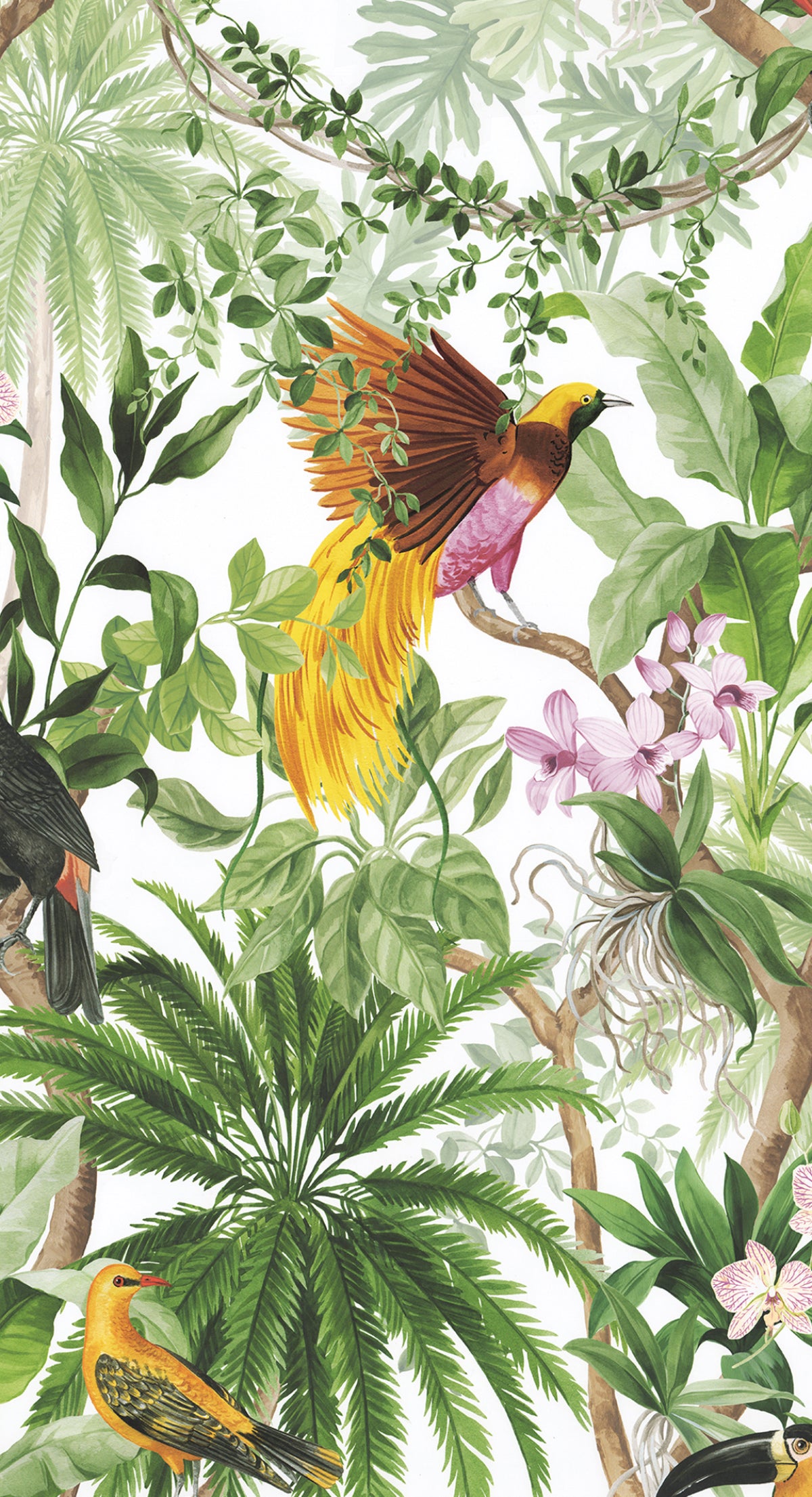 Tropical Bird peel and stick wallpaper in white with lush tropical foliage and colorful birds
