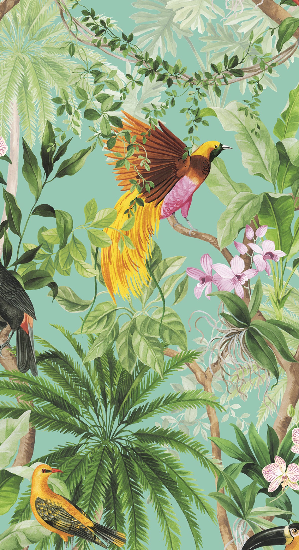 Aqua tropical botanical peel and stick wallpaper with colorful birds, palms, and lush greenery.