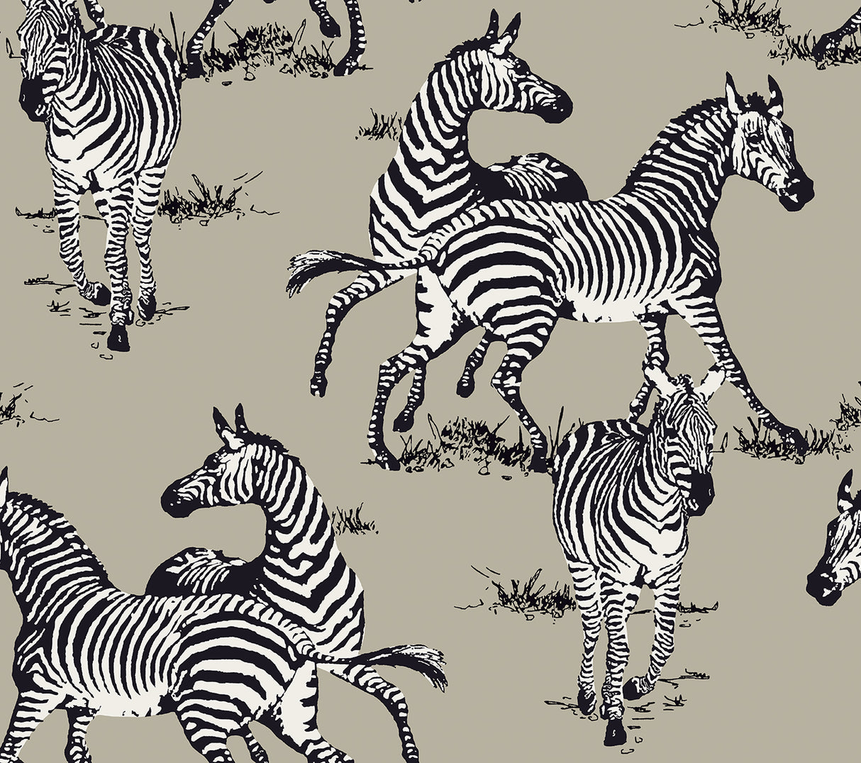 Playful Zebras peel and stick wallpaper pattern with zebras