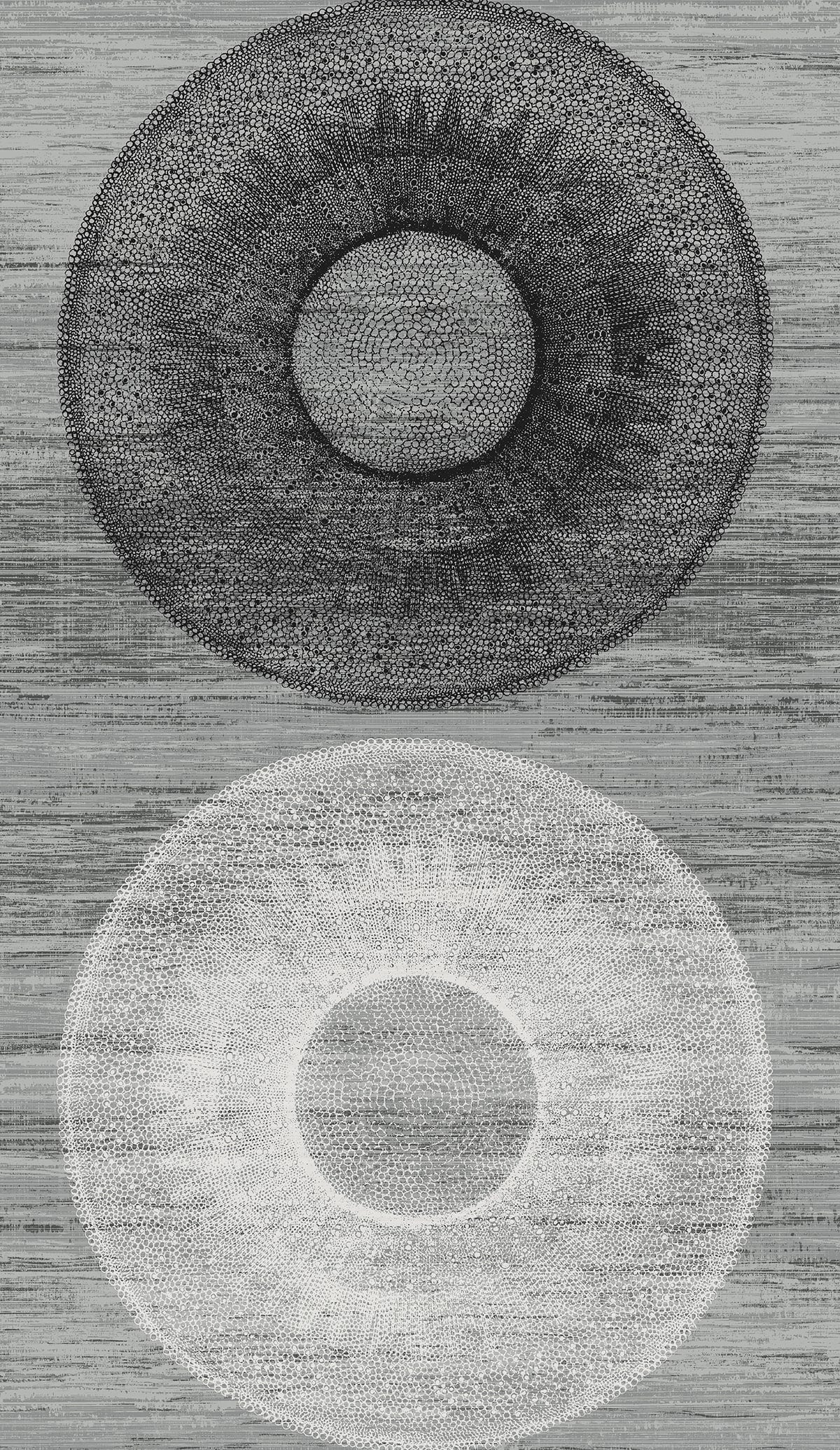 Large Circle monochrome geometric peel and stick wallpaper pattern in grey tones