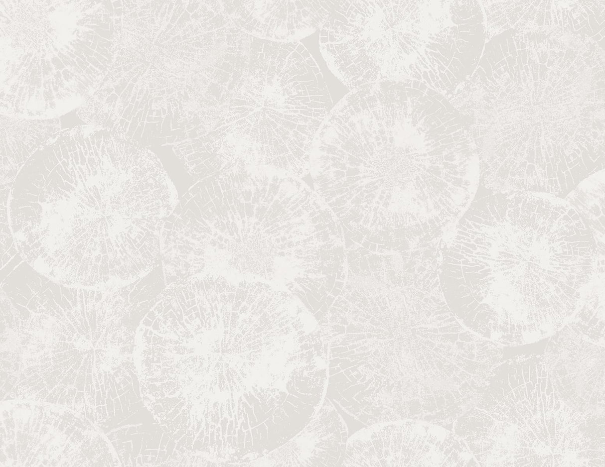 Eren wallpaper in Fog Grey with a soft abstract circular texture pattern