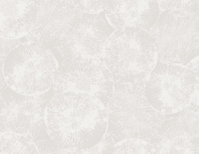 Eren wallpaper in Fog Grey with a soft abstract circular texture pattern