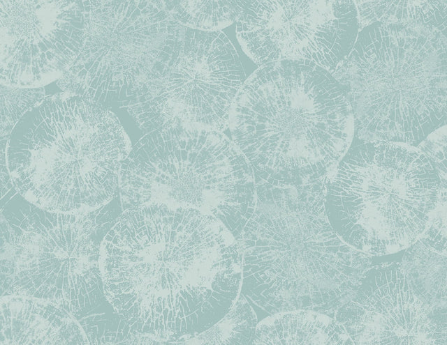Eren abstract wallpaper in Glacier blue with layered circular texture motif