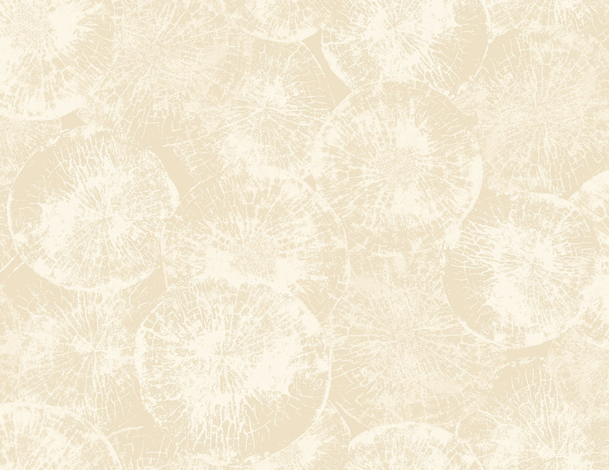 Eren Soft Beige abstract wallpaper with layered circular texture motif, matte finish
