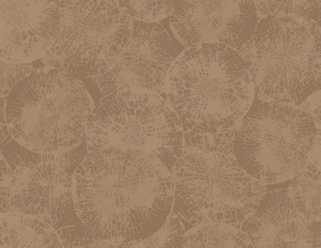 Warm clay abstract wallpaper with layered circular woodgrain motif