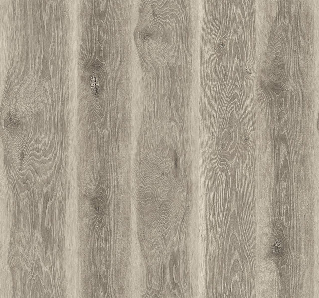 Ash brown matte wood plank look wallpaper with realistic grain pattern (Kieri JP11315)