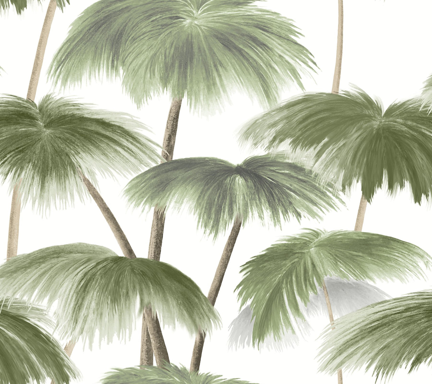 Plein Air Palms Green Wallpaper with Tropical Palm Frond Motif - LM5431
