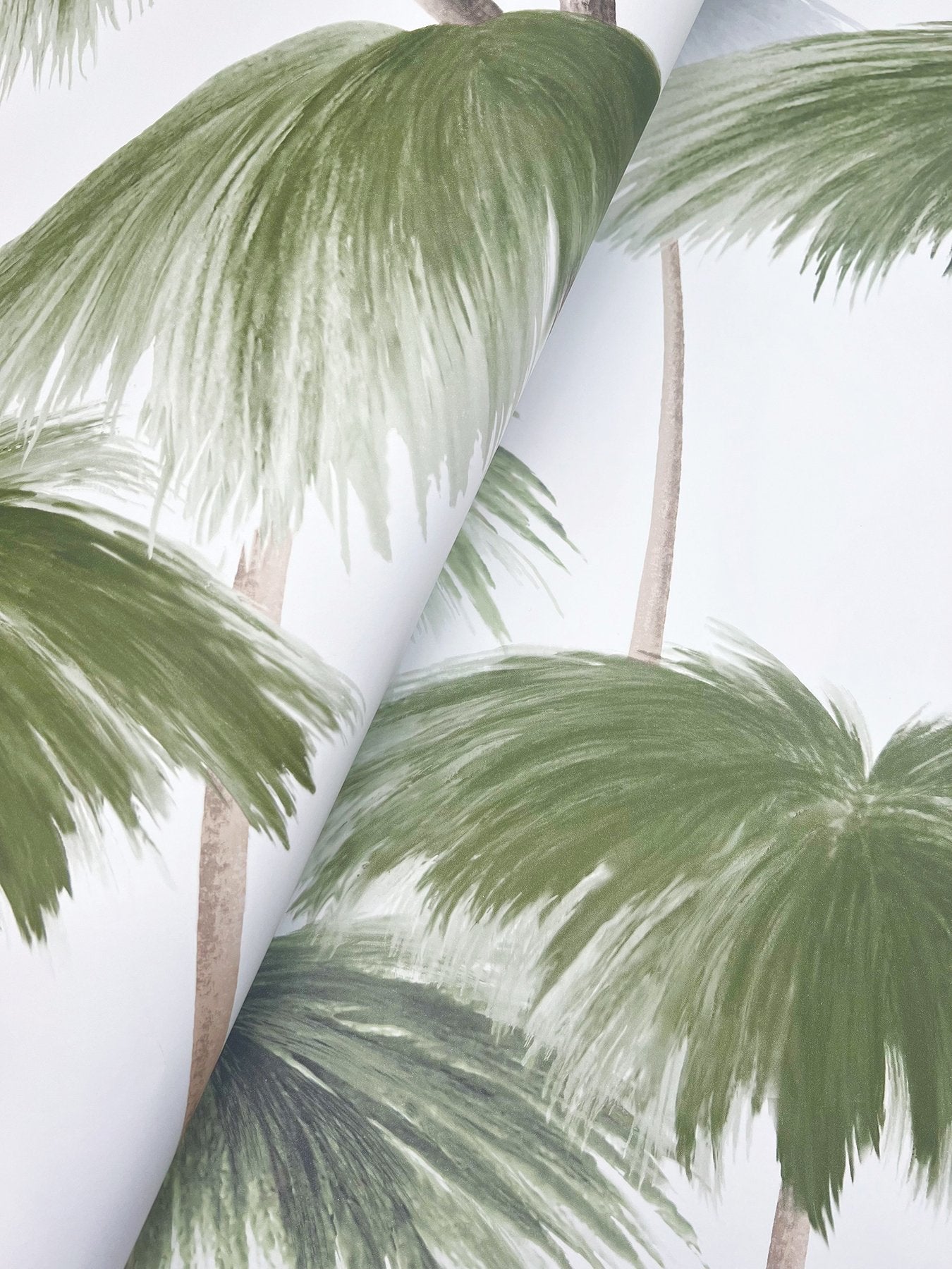 Plein Air Palms Green Wallpaper with Tropical Palm Frond Motif - LM5431